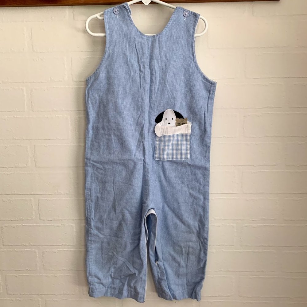 Cute Light Blue Overalls